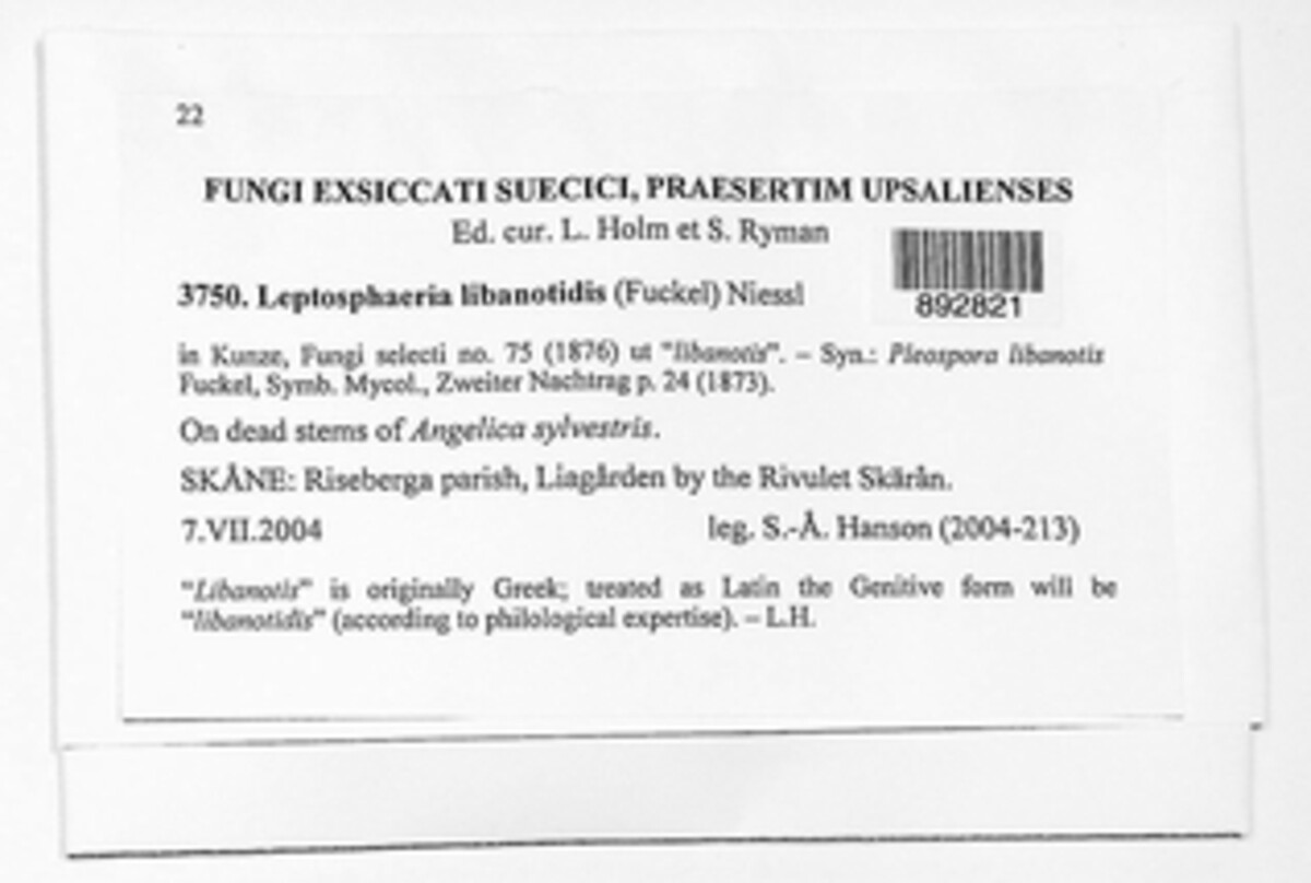 Leptosphaeria libanotidis image